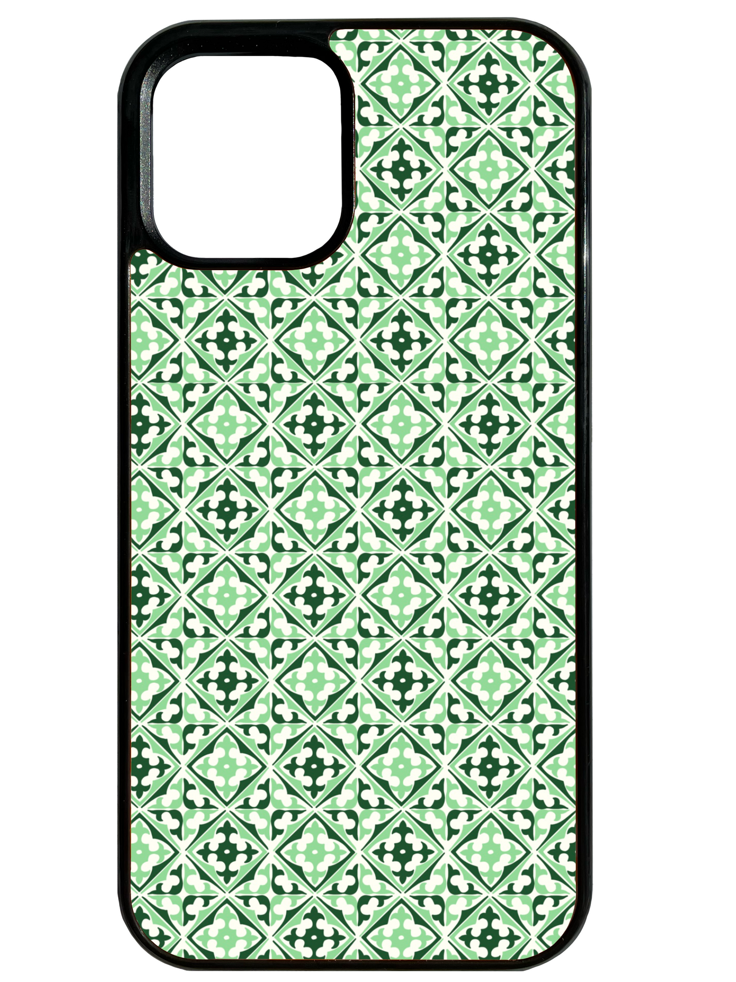 Europa Phone Case